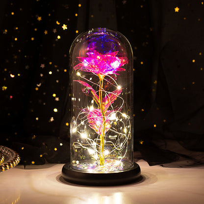 24k gold leaf rose flower little prince rose glass cover with LED light Christmas gift factory direct sales