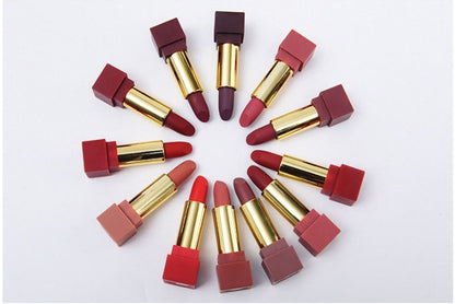 New set of 12-color square tube lipstick matte lipstick